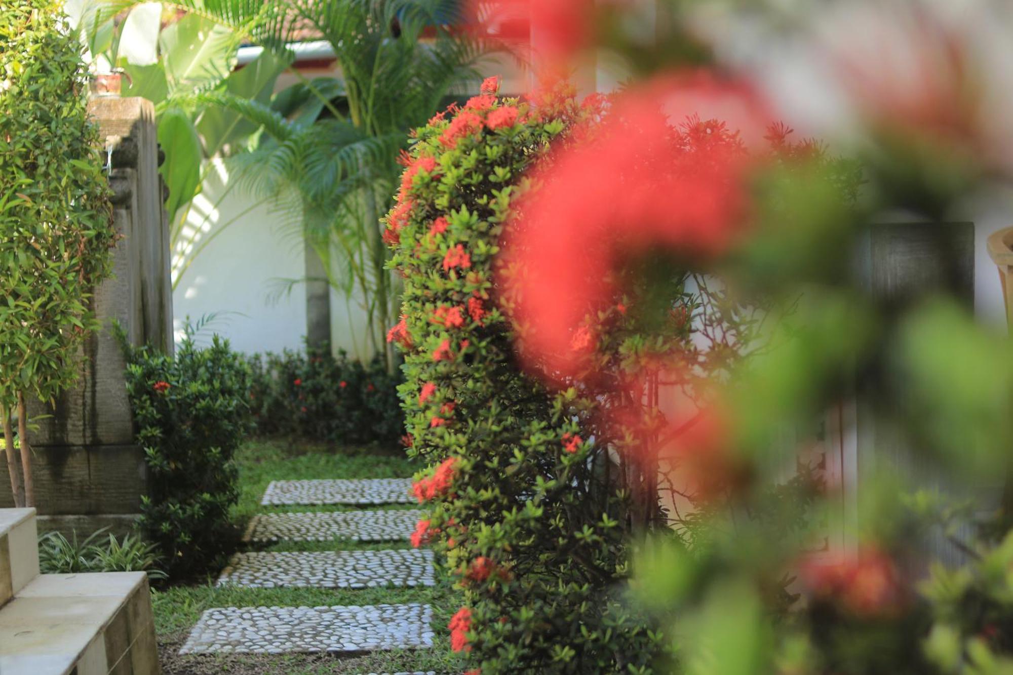 Villa Seruni Lovina Екстериор снимка